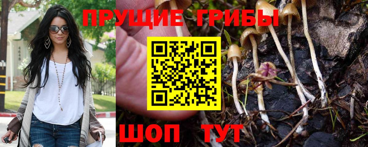 Псилоцибиновые грибы мицелий Аргун