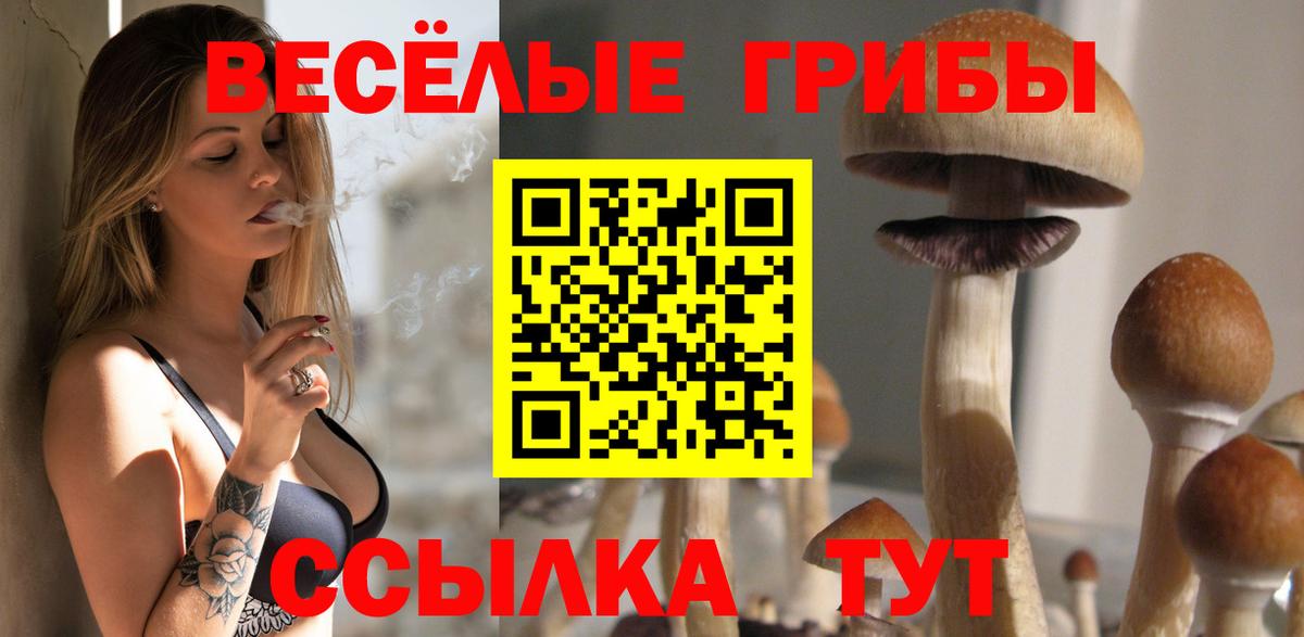 купить наркотик  Псилоцибиновые грибы мицелий  Вход с VPN  Аргун 